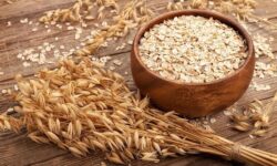 AVENA NATURAL SIN GLUTEN – 8 KG – CEREALES – MERCASHOP